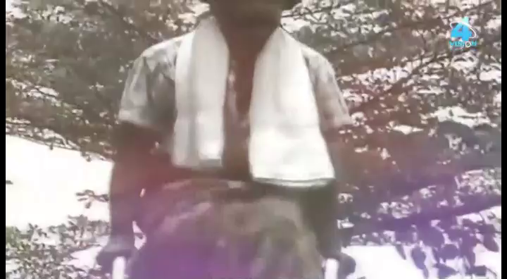 Watch Vision 4