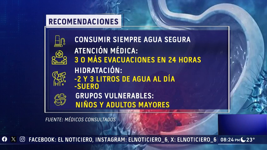 Watch Canal 6