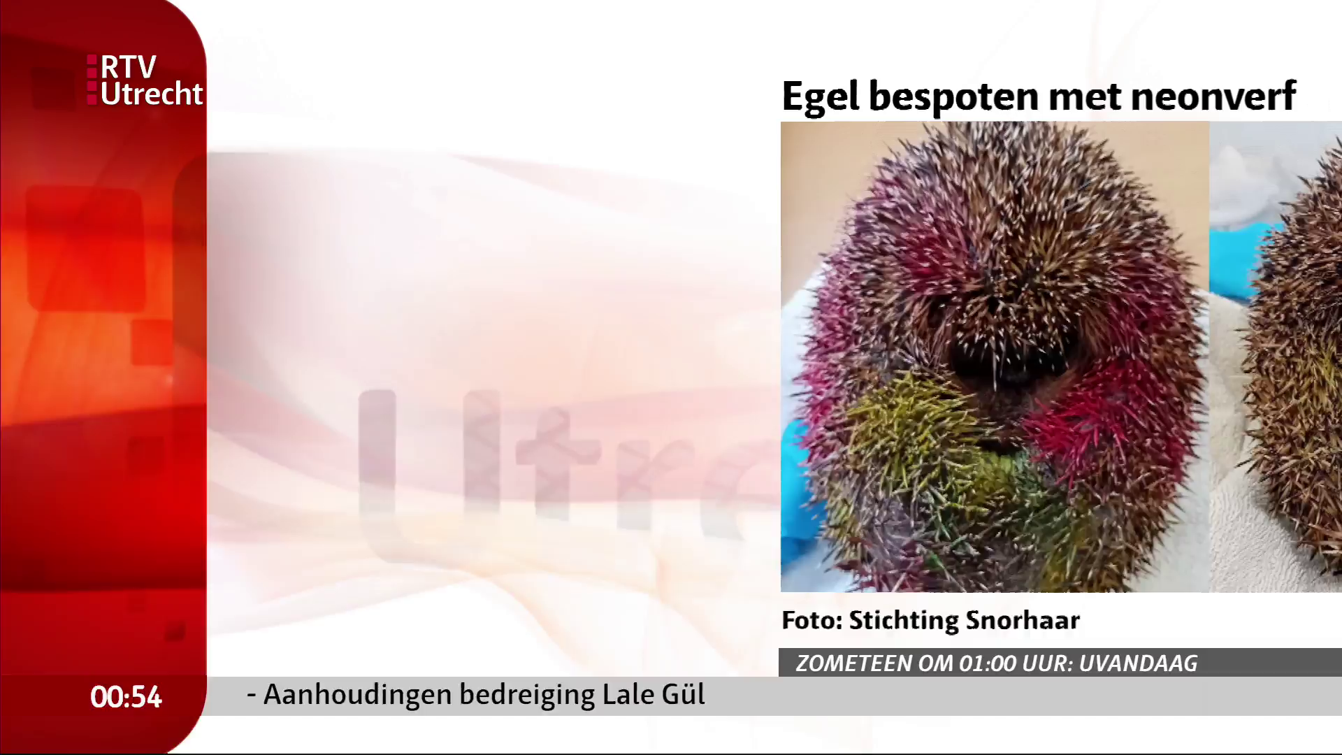 Watch RTV Utrecht